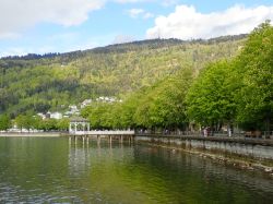 Gal 26 2 Bregenz (15)